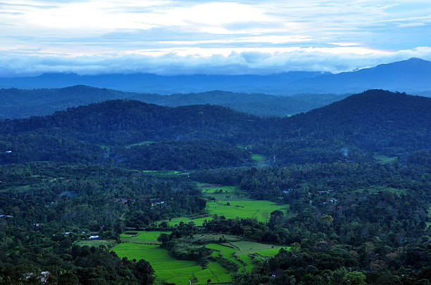 Coorg Hills