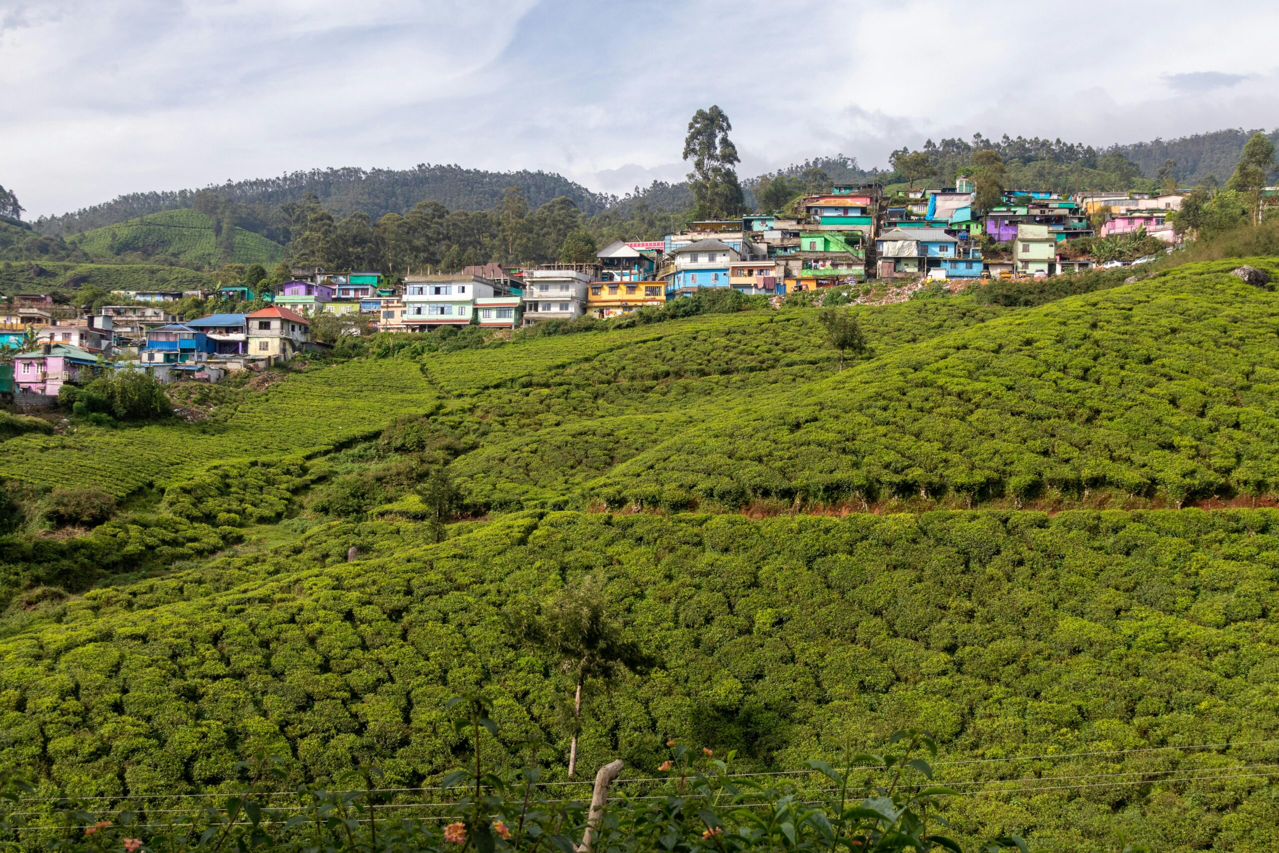 Munnar Waterfalls