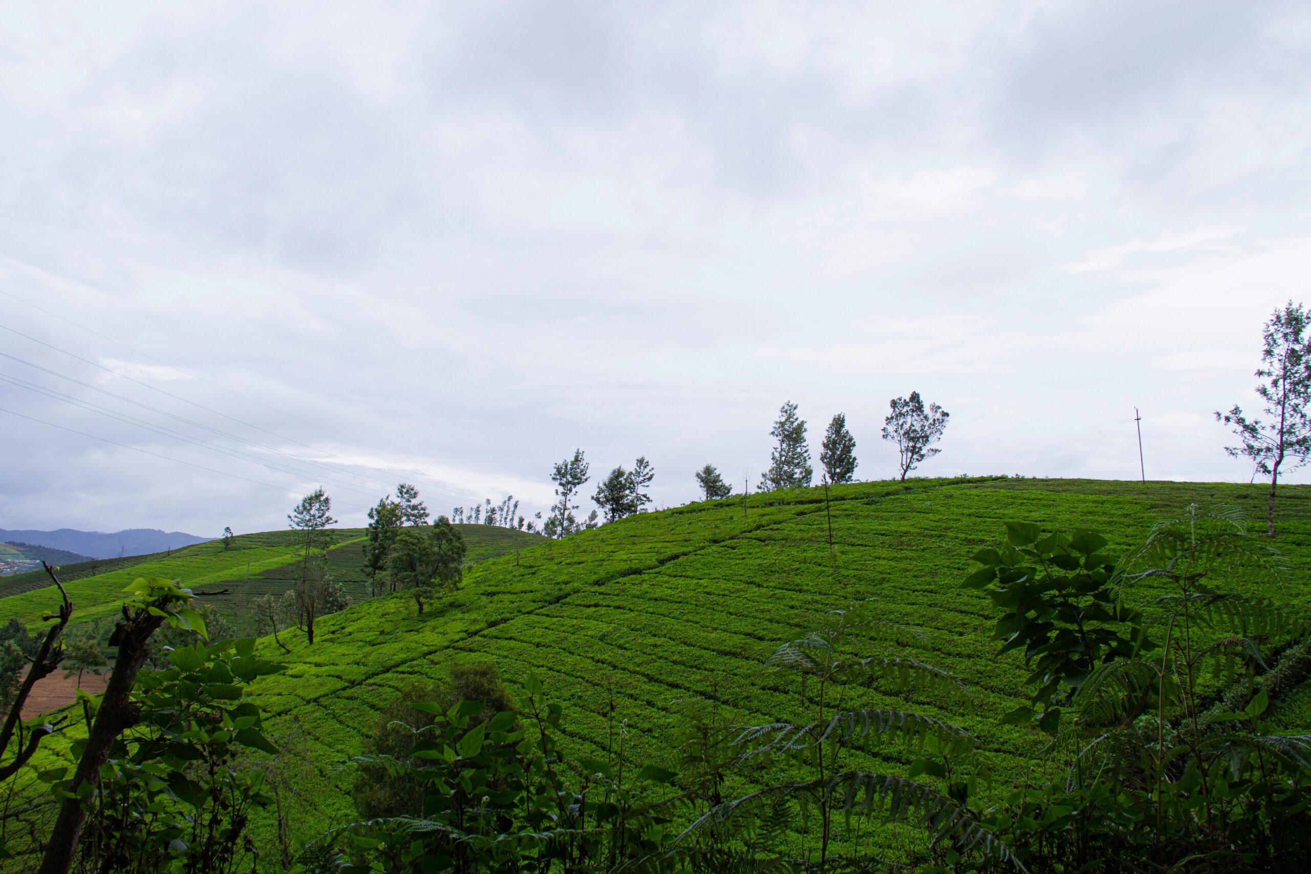 Munnar